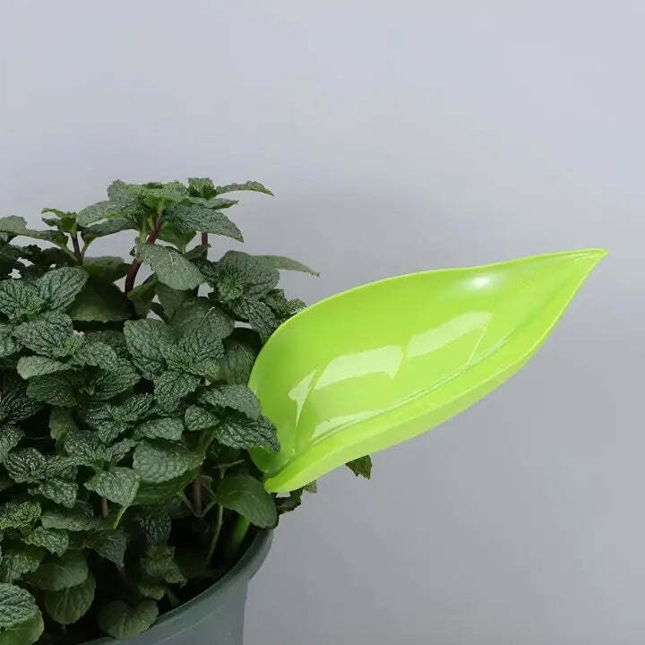 Mess-Free Watering Tool